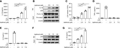 Apilimod activates the NLRP3 inflammasome through lysosome-mediated mitochondrial damage